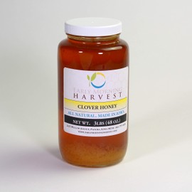 Early Morning Harvest Clover Honey
