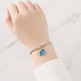 PANPOKI Charms 925 Sterling Silver Bead Charm for Women Compatible with European Bracelets and Necklaces, Sterling Silver, No Gemstone