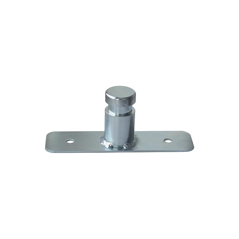 as - Schwabe 46759 DIN Spigot Adapter Plate for Tripod