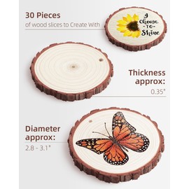 Travlog Unfinished Wood Slices with Hole, Natural Wood Circles Blank with Bark for DIY Crafts, Home Decor, Christmas Ornament (30Pcs, 2.4-2.8 Inch)