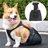 Dog Drag Bag for Paralyzed Rear Legs- Dog Wheelchair Alternative