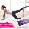 TheFitLife トレーニングチューブ 筋トレチューブ フィットネスチューブ (パープルセット)