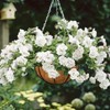 ZeeDix 3Pcs 14 Inch Coconut Liners for Planters, Round Hanging