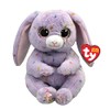 TY 2011576 Plush