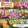 All-in-One Flower Bulb Garden Kit - Cotton Candy Punch Mix