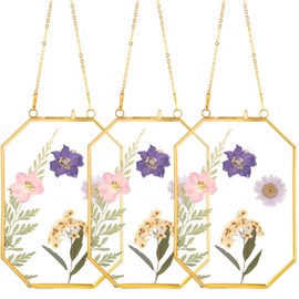 Treela 3 Pcs 5 x 7 Inch Hanging Gold Glass Floating Frame Octagon Brass Double Clear Pressed Flower Frames for Herbarium Plant Specimen Artwork Display Photo Dried Flowers Home DIY Decor