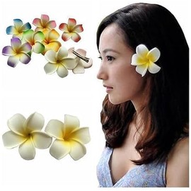 4 Pcs White and Pink Hawaiian Plumeria Foam Head Flower,Hawaiian Frangipani Bridal Wedding Party Beach Hair Clip Hair Clips Styling Accessories Clips and Barrettes
