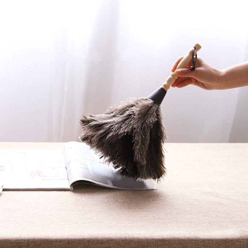 Duster, Anti-Static, Reusable Wooden Handle, Ostrich Feather Duster, Dust Removal
