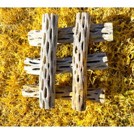 Natural Cholla Wood, Choya Air Plant, Untreated Beautiful Driftwood, Aquarium Decor, Betta Fish, Plecos, Shrimp, Minnows, Neon tetras, Cory Catfish, 6'' Long, 0.8 – 1'' Diameter, 5 – Pieces.