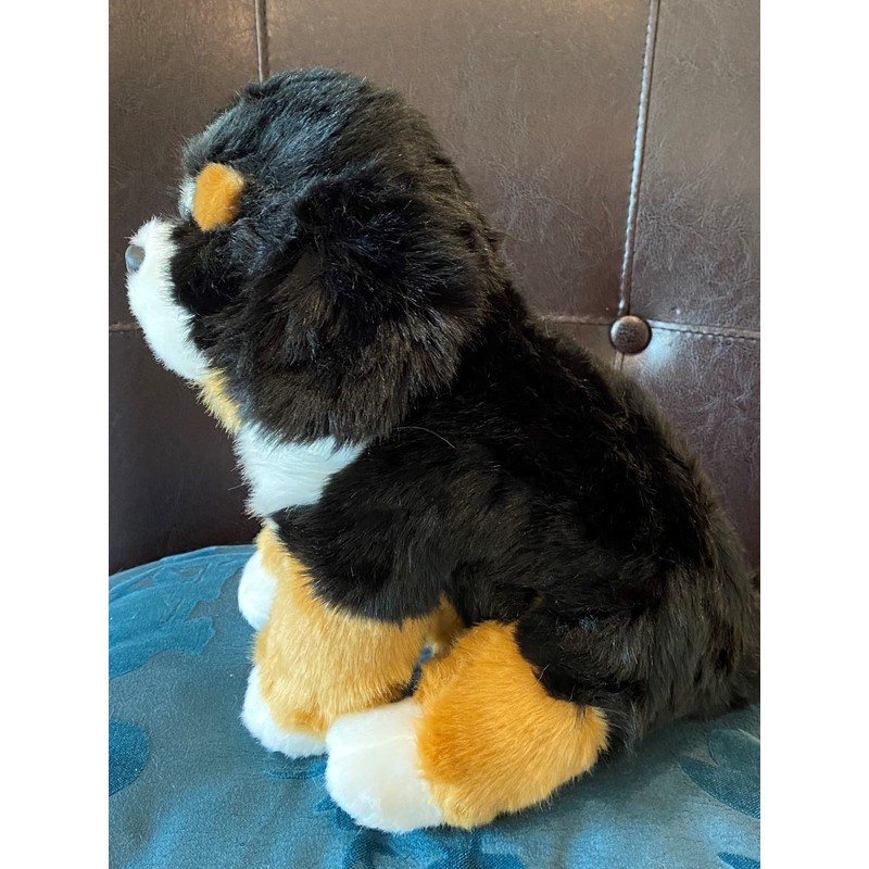 Bernese Puppy Companion