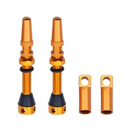 Sarini 2Pcs Bike Tubeless Air Valve Stem, Tire valve, Alloy Tubeless Valve Stem, for Fits Most Other Tubeless Rims and Wheels(Orange)