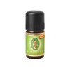 Primavera: Rosmarin Verbenon* DEMETER (5 ml)