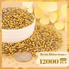 12000PCS 2mm Resin Rhinestones Bulk for Crafting (Copper Gold), Flatback