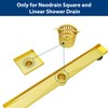Neodrain Golden Strainer-Hook, Stainless Steel Hair and Debris Strainer, Only