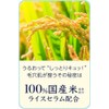 Keana Nadeshiko Rice Mask 10 Pieces Japan