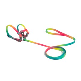 Maogoublue 4FT Adjustable Size H-Type Safety Cat Harness and Leash Set with 360° Rotatable Alloy Hook and Durable Buckle Collars for Kitten Walking Escape Proof (Rainbow)