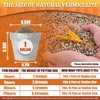 AVALUTION 9QT Vermiculite - Organic Vermiculite for Plants Horticultural Coarse