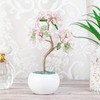 Nupuyai Rose Quartz Crystal Tree Feng Shui Gemstone Tree with
