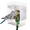 Paquete de 2 comederos automáticos para pájaros, alimentadores de loros,