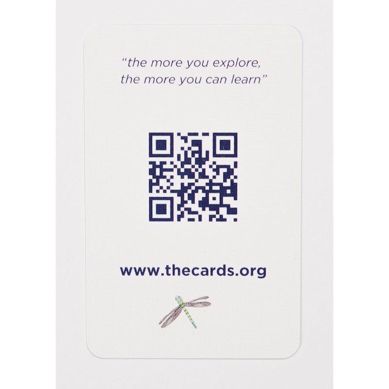 The Cards: Being Human - playing cards to explore y(our)