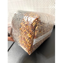 Galnut Magical 5 lb Mushroom All in One Grow Bag for Manure Loving Mushrooms with Injection Port and 0.2 Micron Breathable Filter