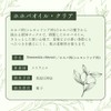 生活の木 ホホバオイル・クリア 精製/Jojoba Clear(Refined) 植物油 キャリアオイル プラントオイル トリートメントオイル ベジタブルオイル マッサージ