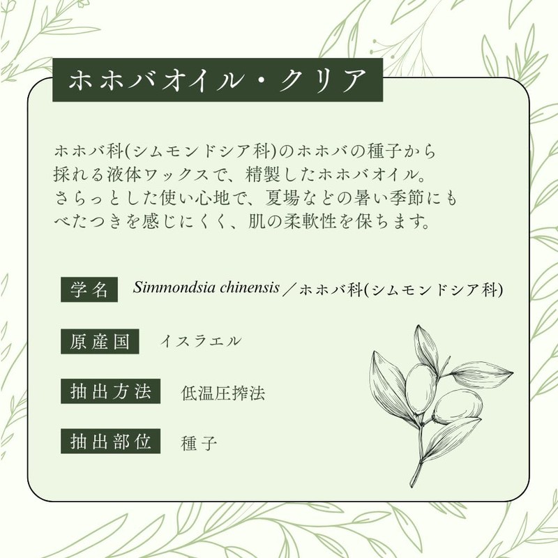 生活の木 ホホバオイル・クリア 精製/Jojoba Clear(Refined) 植物油 キャリアオイル プラントオイル トリートメントオイル ベジタブルオイル マッサージ