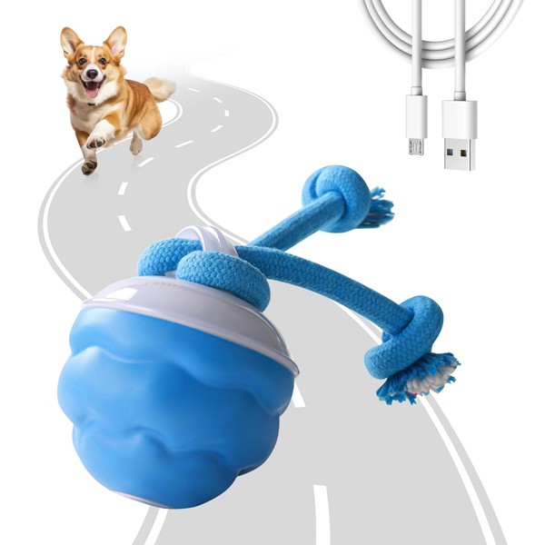 Infreecs Interactive Dog Toys for Boredom, Chase Buddy Dog Toy,