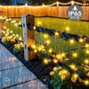 cshare LED Illumination Light, Solar LED String Light, Solar Illumination