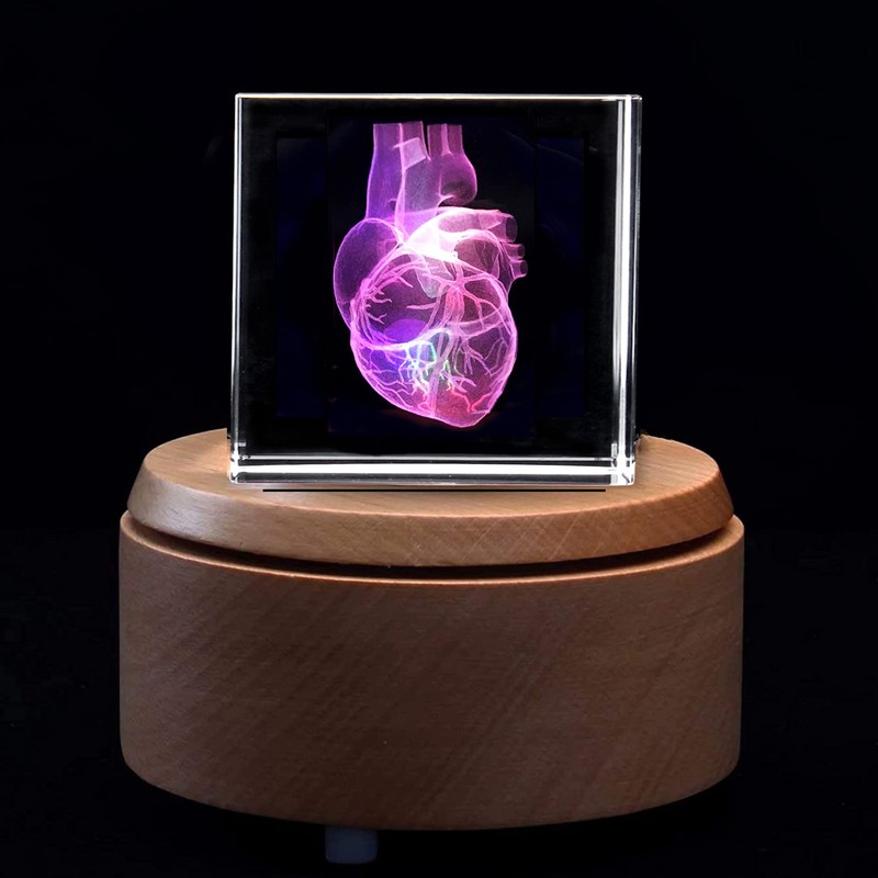 3D Human Heart Anatomical Model Paperweight(Laser Etched) in Crystal Glass
