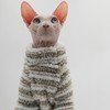 Thick, Warm,Winter Four-Legs Hairless Cat Sweater for Sphynx, Devon Rex,