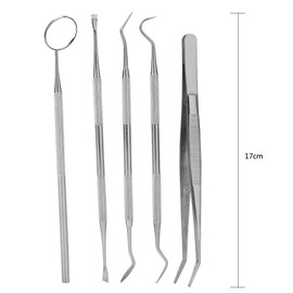 Juego De Herramientas De Limpieza De Dientes De Sarro De Acero Inoxidable Juego De Herramientas Dentista For Thread Herramientas De Examen Dental