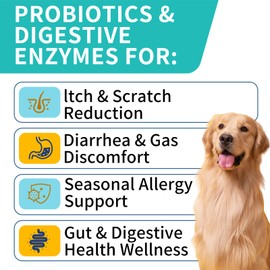 WONTECHMI Probiotics for Dogs, Improve Itchy Skin Itchy Ears, Gut Health, Yeast Balance, Allergies, Immunity, Dog Probiotics and Digestive Enzymes with Prebiotics, Reduce Diarrhea (180 Chews, Steak)