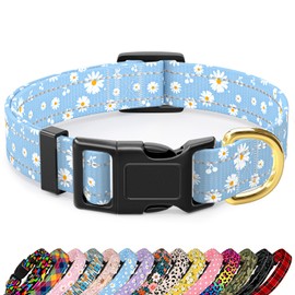 TMOODEL Reflective Dog Collar for Extra Small Dogs, Cute Daisy Theme Adjustable Heavy-Duty Nylon Puppy Collar for Boy and Girl Female, Soft Pet Accessories with Quick Release Buckle, Neck 8-12", Blue