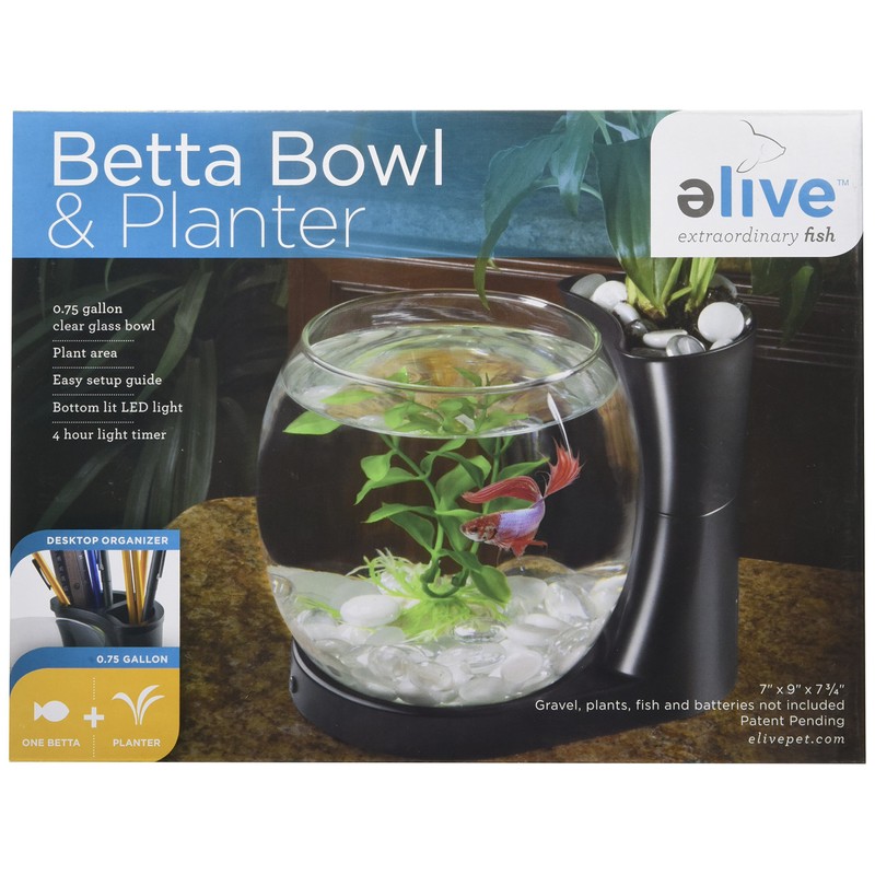 Elive Betta Fish Bowl / Betta Fish Tank with Planter,