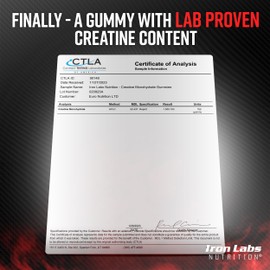 Iron Labs Nutrition Creatine Monohydrate (90 Gummy Bears) - 3600mg Per Serving - Strawberry Flavor - High Strength Creatine for Men & Women (90 Vegan Gummies)