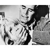 James Garner Collection / 4 Filme mit der Filmlegende [4
