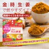 ISDG Diet Hot酵素サプリメント 121種類野菜や果物 酵母＆麹 発酵凝縮 フォルスコリ L-カルニチン 金時ショウガ酵素 配合