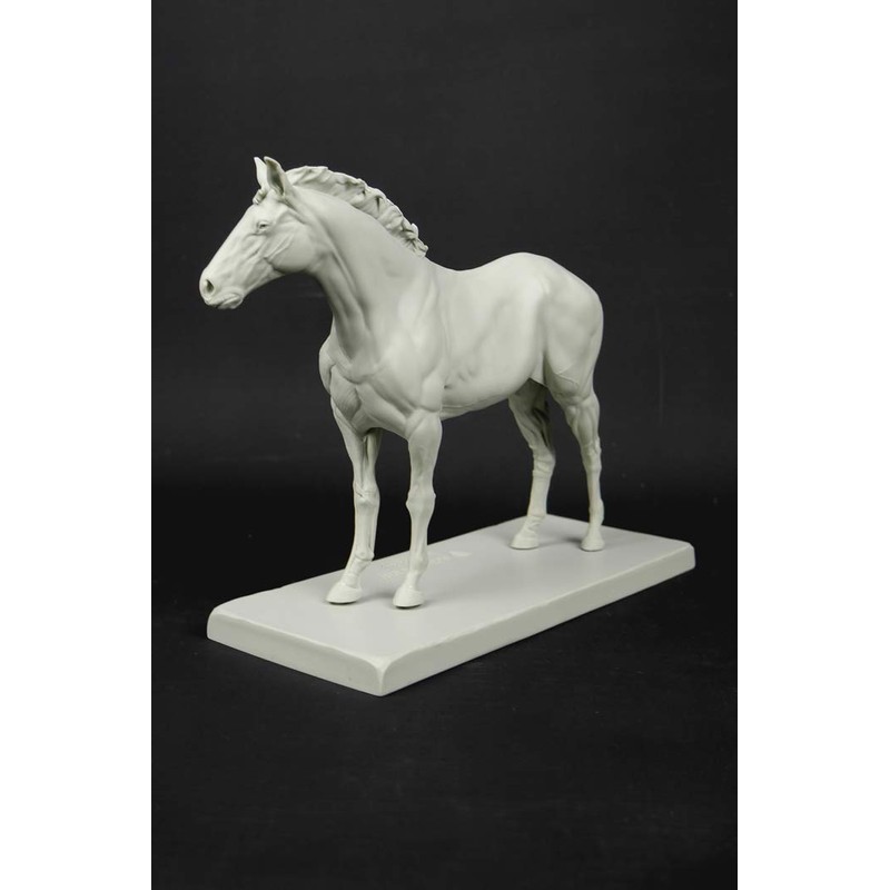 3dtotal Anatomy: Equine figure