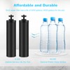 airkitrep Water Filter Replacement for Berkey, Black Purification Elements, Activated