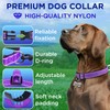 TECEUM Reflective Dog Collar – Purple – M – Extra