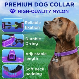 TECEUM Reflective Dog Collar – Purple – M – Extra Soft Padding – Basic Nylon Pet Collar – Quick Release Buckle – Fits Small, Medium and Large Dogs, Puppies, Cats – ESA & Service Dog Options