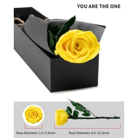 Christmas Rose Flower Gifts for Mom from Daughter and Son, Mom Gifts for Grandma, Birthday Gifts for Women, Preserved Rose, Preserved Flowers for Delivery Prime, Single Rose Real Rose - Yellow