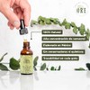 ORE Aceite de Oregano Orgánico 100% Natural | 80% Carvacrol
