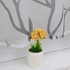 Heichkell Transparent Short Tab Top Voile Window Curtain with Tree