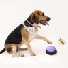 Voice Recording Button, Dog Buttons for Communication Pet Training Buzzer,