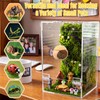 Feekoon Large Jumping Spider Enclosure Kit, Acrylic Insect Terrarium