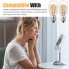 ZTTM 20W, 120V Incandescent Bulb Replacement, Suitable for Conair RP34B