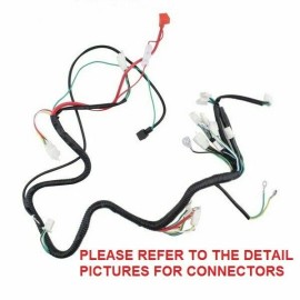 PCC WIRING HARNESS FOR GY6 125CC 250CC SCOOTER MOPED ATV WH10