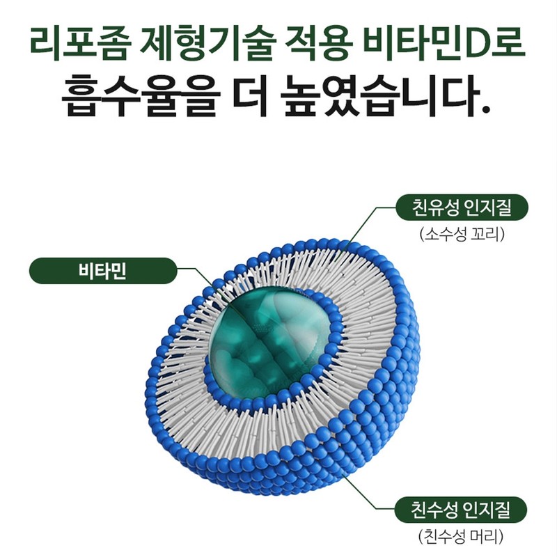 wcs vitamin D liposomal vitamin vitamin D / wcs비타민D 리포좀비타민